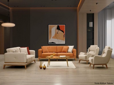 Tesla Koltuk Takımı