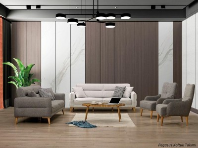 Pegasus Koltuk Takımı