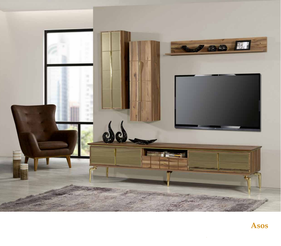 Asos Tv Ünitesi